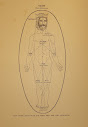 Septem Regum Sanctorum Ritual Xxviii The Ceremony Of The Seven Holy Kings
